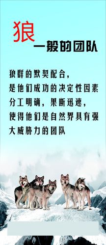 手机用了6年有危亚盈体育险吗(手机用了4年有危险吗)